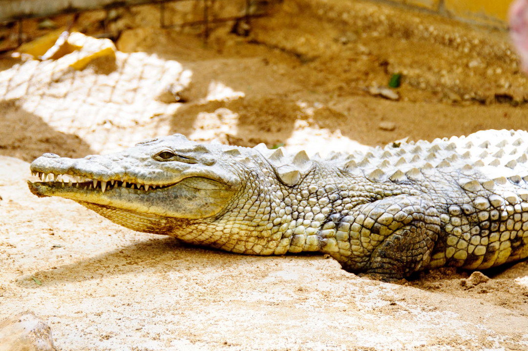  Ocean Aquarium Park u Protarasu 